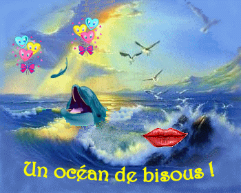 voici quelques images de dauphins